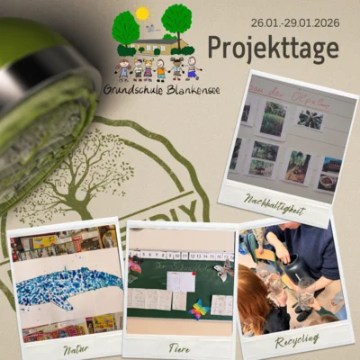 Gemeinsam entdecken: Unsere Projektwoche zu Nachhaltigkeit und digitaler Welt in der Grundschule Blankensee (Bild vergr&ouml;&szlig;ern)