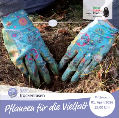 Pflanzen für die Vielfalt