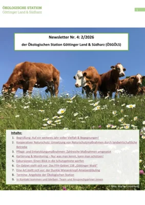 Neuer ÖSGÖLS Newsletter! (Bild vergr&ouml;&szlig;ern)