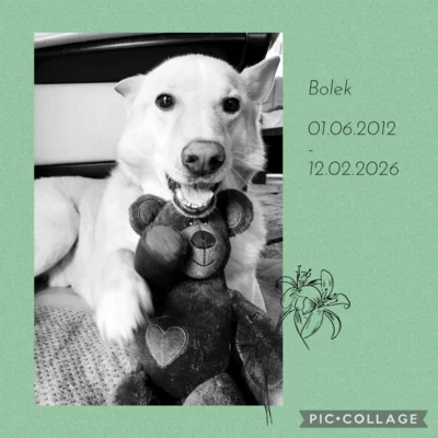 Abschied von Bolek (Bild vergr&ouml;&szlig;ern)