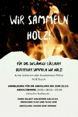 Holzsammelaktion (Bild vergr&ouml;&szlig;ern)