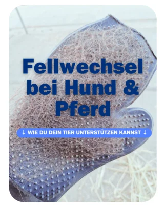 Meldung: Unterstützung im Fellwechsel