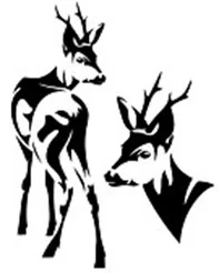 Einladung zur Jagdgenossenschaftsversammlung Möbiskruge (Bild vergr&ouml;&szlig;ern)
