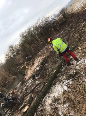 Gehölzpflege im Labertal  ©Josef Kappelmeier, WWA