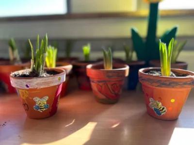 🌷 Frühblüher für Jahrgang 1 – Kreativität trifft Verantwortung (Bild vergr&ouml;&szlig;ern)
