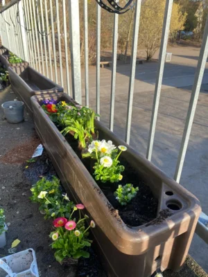 Der Frühling ist in der Grundschule Südstadt angekommen! (Bild vergr&ouml;&szlig;ern)