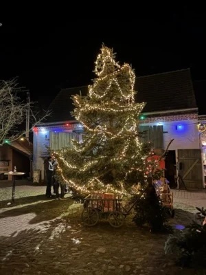 Adventsmarkt im Museum Dreiseitenhof 2025 (Bild vergr&ouml;&szlig;ern)