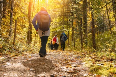 Foto: iStock/GettyImages (Bild vergr&ouml;&szlig;ern)