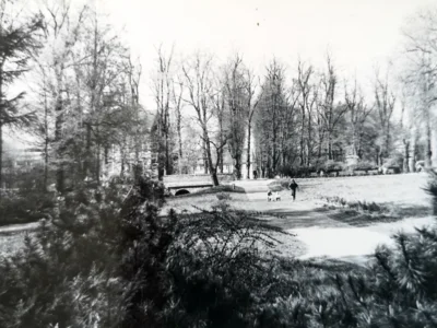 Spaziergänger 1964 im Grüngürtel. Foto: Alfred Winkel (Bild vergr&ouml;&szlig;ern)