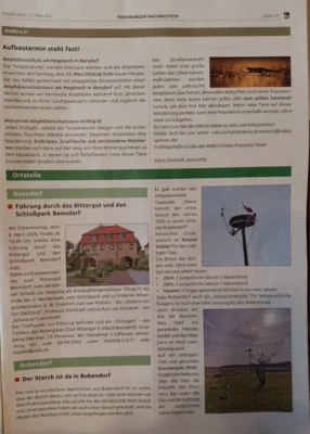 2026 Der Storch ist da! (Bild vergr&ouml;&szlig;ern)