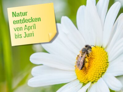 Frühlingsspaziergänge führen in die schönsten Ecken des Freistaats (Bild vergr&ouml;&szlig;ern)