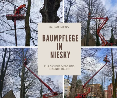 Baumpflege Niesky (Bild vergr&ouml;&szlig;ern)