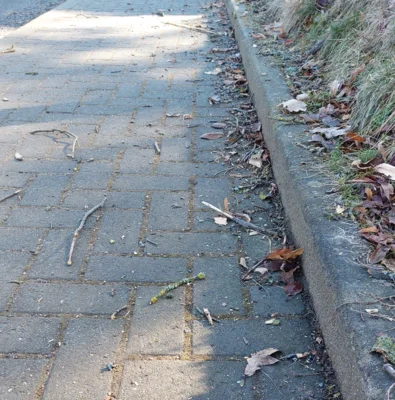 Meldung: Frühjahrsputz vor der Haustür – Straßenränder und Gehwege nicht vergessen!