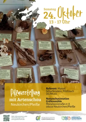 Pilzausstellung mit Artenschau und Informationen