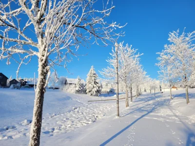 Wintersaison im Thüringer Wald (Bild vergr&ouml;&szlig;ern)