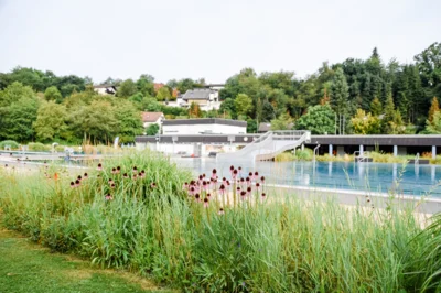 Freibad Ortenberg - Vorverkauf von Jahreskarten (Bild vergr&ouml;&szlig;ern)