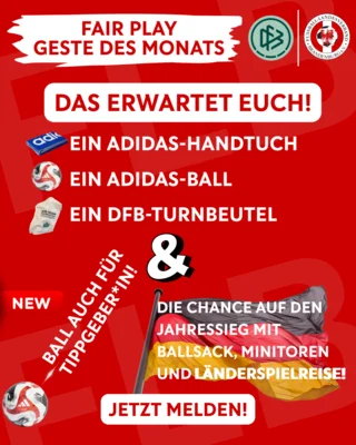 Länderspiel als Krönung: Fair Play-Geste des Monats im FLB neu aufgestellt