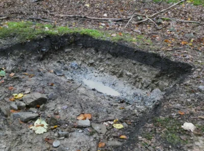 Köhlerplatte Boden des Jahres: Am Donnerstag, 19. März 2026, erläutert Dr. Marcus Schmidt die verborgenen Nutzungsspuren der Archivböden während seines Vortrags im Nationalparkamt Kellerwald-Edersee. Bildautor: Achim Frede (Bild vergr&ouml;&szlig;ern)