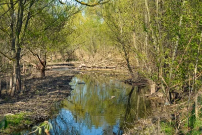 Grabenschau (Bild vergr&ouml;&szlig;ern)
