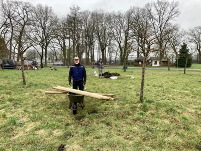 Ersatzbäume auf der Streuobstwiese am Helmerweg gepflanzt (Bild vergr&ouml;&szlig;ern)