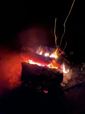 Meldung: Grillen und Lagerfeuer zum Frühlingsbeginn