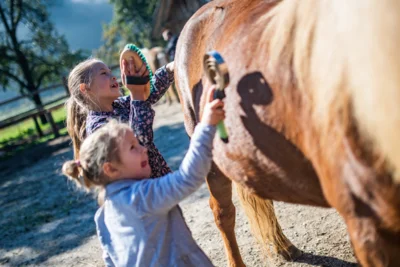 Meldung: Neuer Reitverein am Thüringer Meer gegründet: „Pferdesportteam am Thüringer Meer“ startet mit großer Begeisterung
