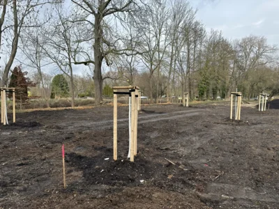 Natürlicher Klimaschutz in Meuselwitz