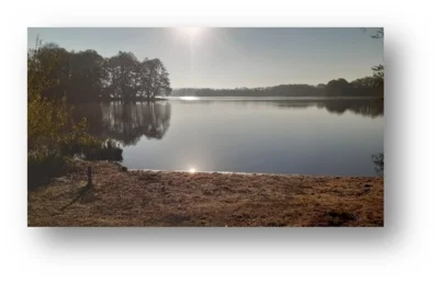02.04.2026: Dämmerungswanderung am Sankelmarker See bei Vollmond