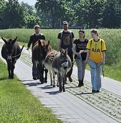 Vorschau 2025 - Rückblick 2024 (Bild vergr&ouml;&szlig;ern)