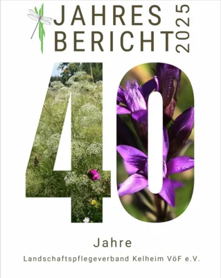 Jahresbericht 2025 (Bild vergr&ouml;&szlig;ern)