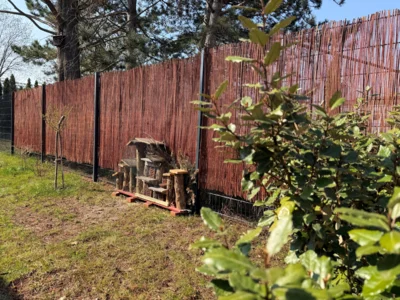 Meldung: Frühling im Wohnprojekt Fallschirm