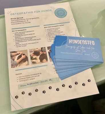 Meldung: neue Flyer & Visitenkarten