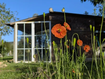 Meldung: Frühling (nicht nur) auf Mallorca