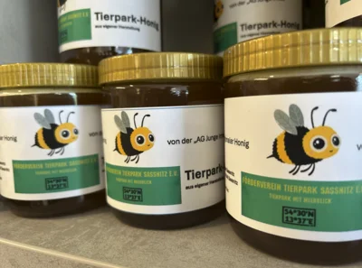 🐝 Hey Kids – werdet Junge Imker!