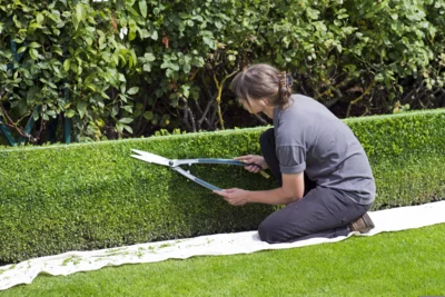 Frühjahrsbeginn: Hinweise zu Gartenarbeiten und Ruhezeiten (Bild vergr&ouml;&szlig;ern)