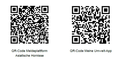 QR-Code Meldeplattform Asiatische HOrnisse  oder  QR-Code Meine Umwelt-App