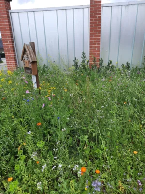 Werde Thüringer Bienenfreund!!