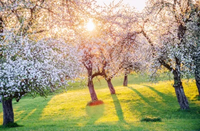 Foto: iStock/GettyImages (Bild vergr&ouml;&szlig;ern)