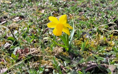 Osterferiengrüße (Bild vergr&ouml;&szlig;ern)