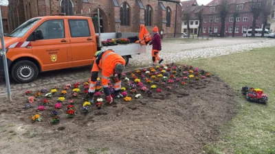 Es wird Frühling