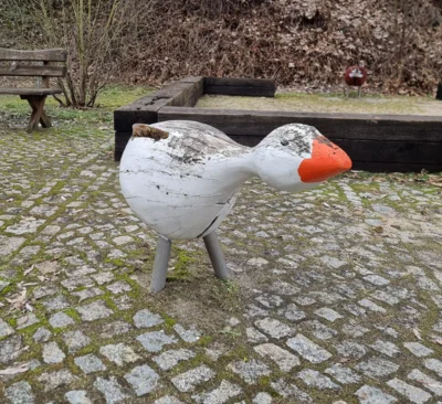 Gans mit abgebrochenem Flügel © Landschafts-Förderverein Nuthe-Nieplitz- Niederung e.V./ Hanna Präger (Bild vergr&ouml;&szlig;ern)