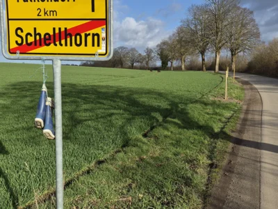 Neuanpflanzungen im Falkendorfer Weg (Bild vergr&ouml;&szlig;ern)