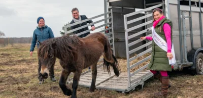 Weideauftrieb in Sielmanns Naturlandschaft Döberitzer Heide am 31.03.2026. Jochen Paleit, Vorstandsvorsitzender der Heinz Sielmann Stiftung, und Heidekönigin Diana Beyer-Stadelmeier entließen die Exmoor-Ponys feierlich auf die neuen Weideflächen auf der Hasenheide am Havelpark. (Foto: Florian Amrhein/Heinz Sielmann Stiftung)