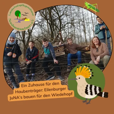 Wiedehopf-Kastenbau, LPV Nordwestsachsen (Bild vergr&ouml;&szlig;ern)
