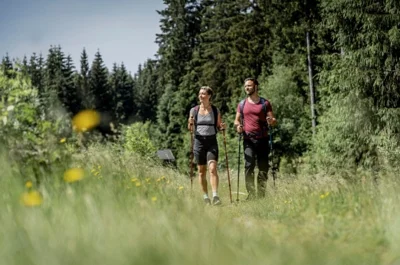 Wandern im Erzgebirge (Bild vergr&ouml;&szlig;ern)
