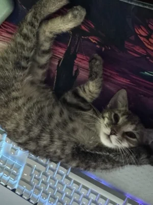 Nachricht von Milly (ehemals Klara) (Bild vergr&ouml;&szlig;ern)