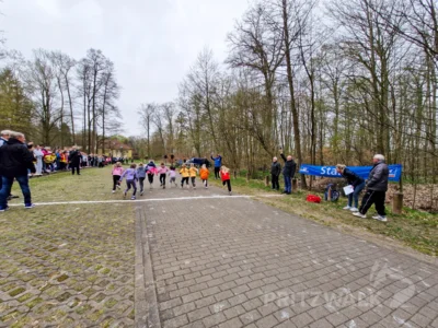 Der Start zum Frühjahrscrosslauf im vergangenen Jahr. Foto: Stadt Pritzwalk (Bild vergr&ouml;&szlig;ern)