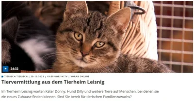 MDR Artikel Titelbild (Bild vergr&ouml;&szlig;ern)
