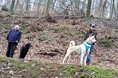 Als wäre es nie anders gewesen: Dilon und Kumpel Nick beim Spaziergang... (Bild vergr&ouml;&szlig;ern)