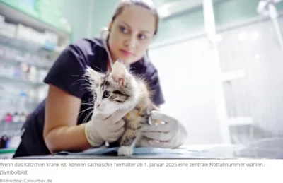 Zeitungstitelbild Sachsen bekommt zentrale Nummer für Tierarztnotdienst (Bild vergr&ouml;&szlig;ern)